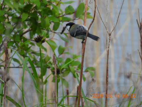 DSCN0463.JPG