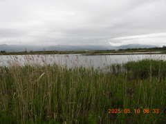 DSCN0466.JPG