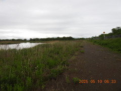 DSCN0467.JPG