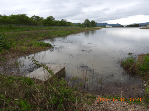 DSCN0470.JPG