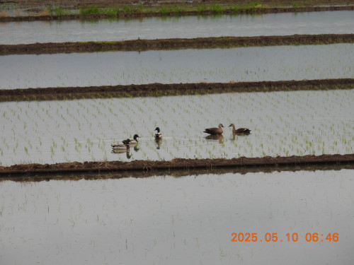 DSCN0474.JPG