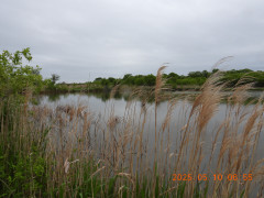 DSCN0482.JPG