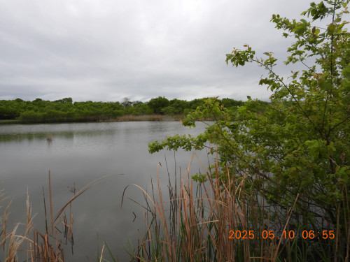 DSCN0483.JPG