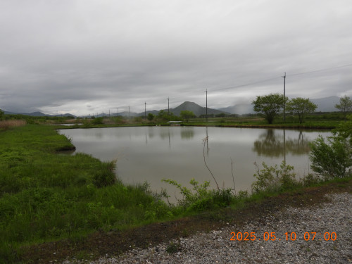 DSCN0485.JPG