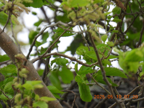 DSCN0488.JPG