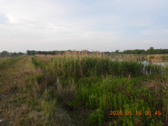 DSCN0495.JPG