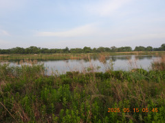 DSCN0496.JPG