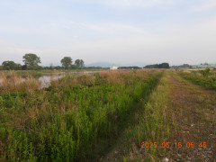 DSCN0497.JPG