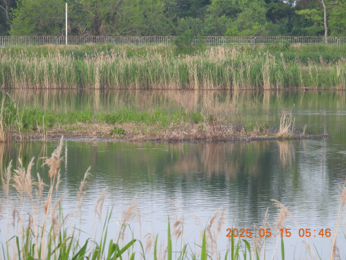 DSCN0498.JPG