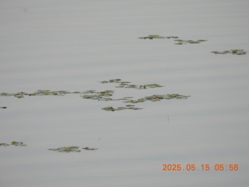 DSCN0502.JPG
