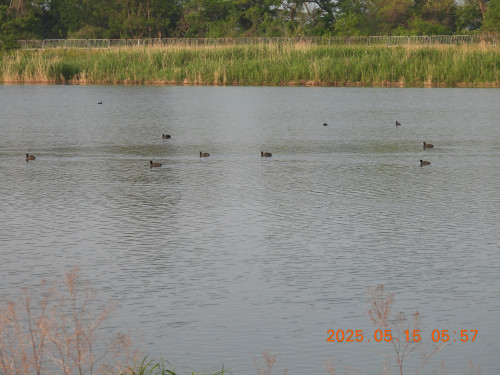 DSCN0503.JPG