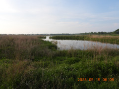 DSCN0510.JPG