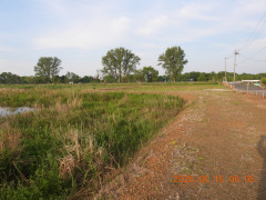 DSCN0511.JPG