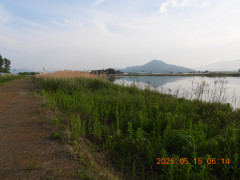 DSCN0517.JPG