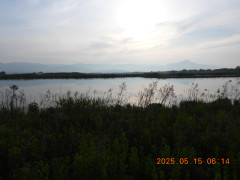 DSCN0518.JPG