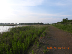 DSCN0521.JPG