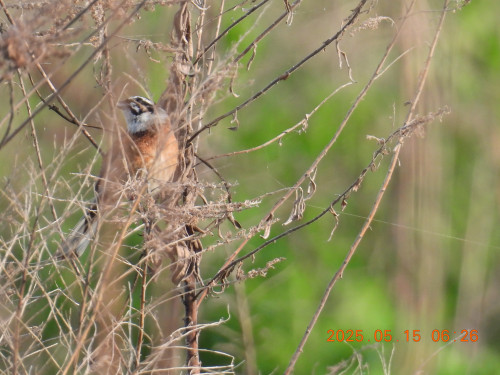 DSCN0526.JPG