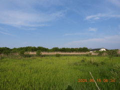 DSCN0530.JPG
