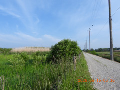 DSCN0534.JPG