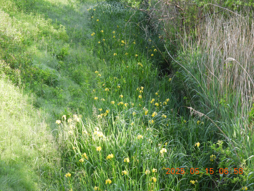 DSCN0549.JPG