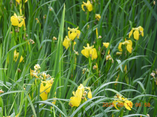 DSCN0550.JPG