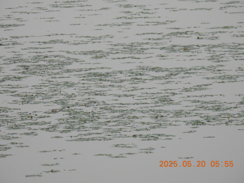 DSCN0567.JPG