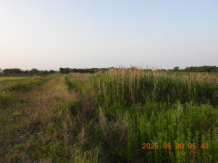 DSCN0558.JPG