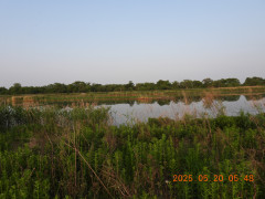 DSCN0559.JPG