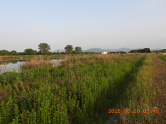 DSCN0560.JPG