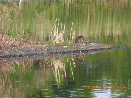 DSCN0562.JPG