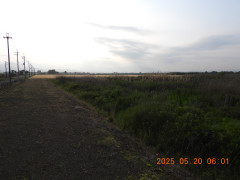 DSCN0570.JPG