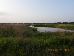 DSCN0571.JPG