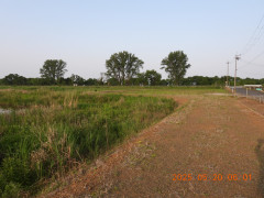 DSCN0572.JPG