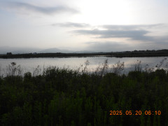 DSCN0575.JPG