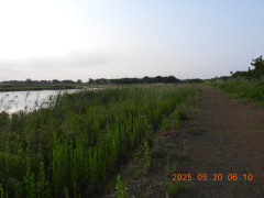 DSCN0576.JPG