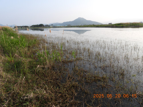 DSCN0578.JPG