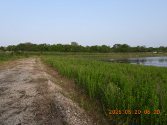 DSCN0579.JPG