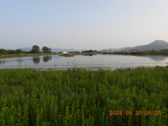 DSCN0580.JPG