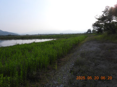 DSCN0581.JPG
