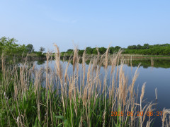 DSCN0587.JPG