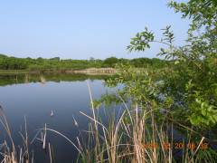 DSCN0588.JPG
