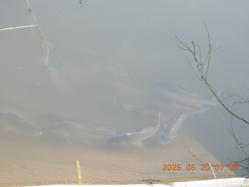 DSCN0606.JPG