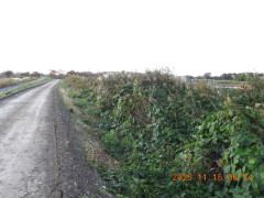 DSCN0809.JPG