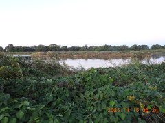 DSCN0810.JPG