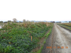 DSCN0811.JPG