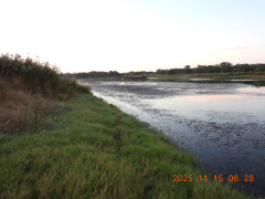 DSCN0814.JPG