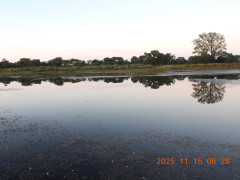 DSCN0815.JPG
