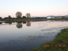 DSCN0816.JPG