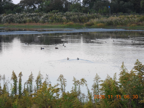 DSCN0817.JPG