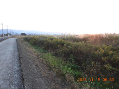 DSCN0821.JPG
